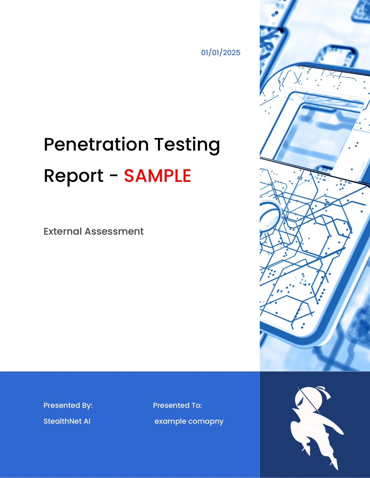 StealthNet sample penetration test report cover